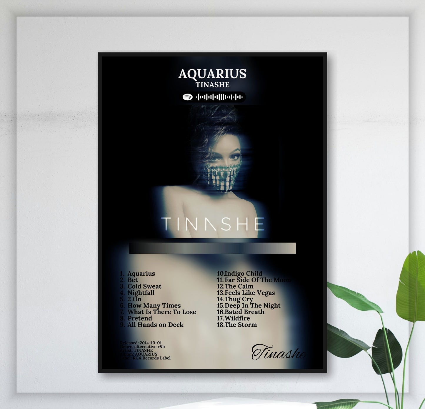 Aquarius - Wall Mockup