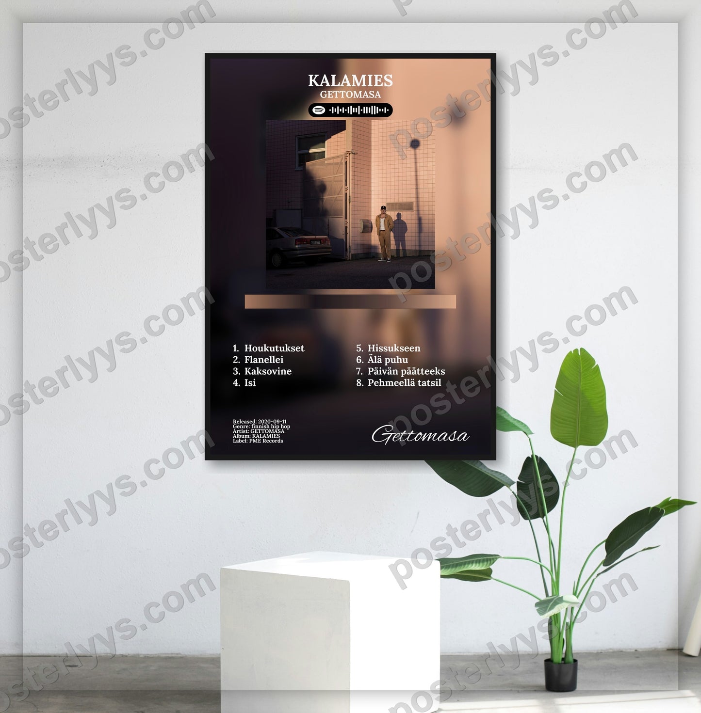 Kalamies - Wall Mockup
