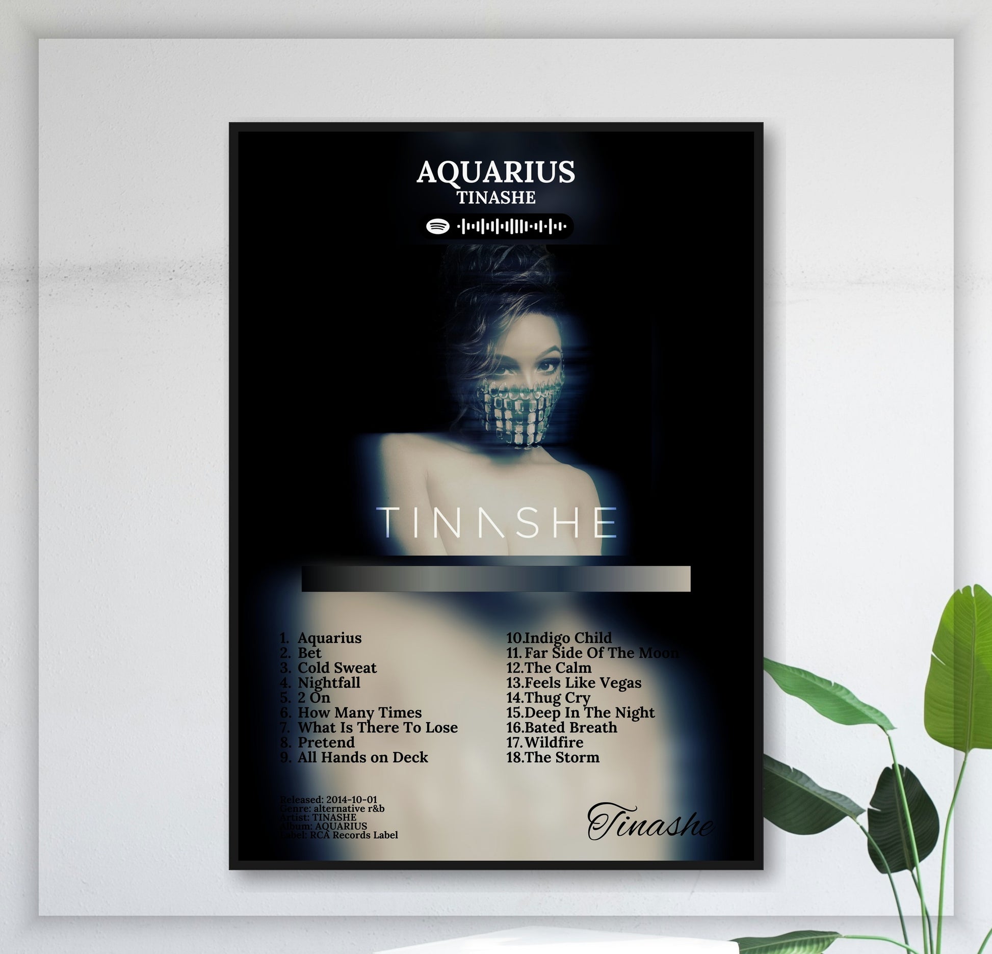 Aquarius - Wall Mockup