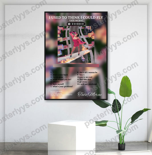 I Used To Think I Could Fly - Wall Mockup