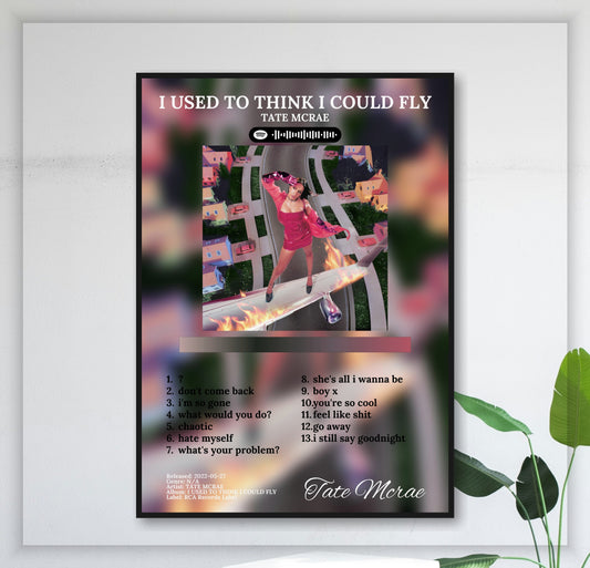 I Used To Think I Could Fly - Wall Mockup